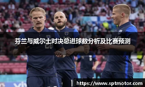 芬兰与威尔士对决总进球数分析及比赛预测